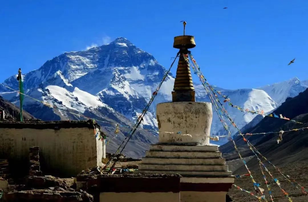 珠峰顶部发现微塑料,珠峰救回的刘群英