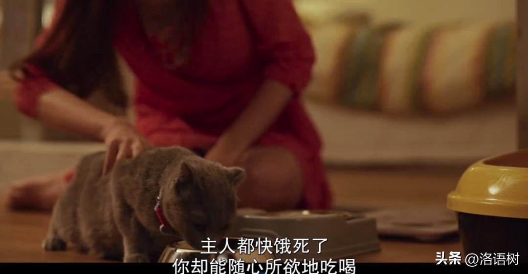 花季少女为复仇成为毒王试验品,花季少女为减肥得厌食症