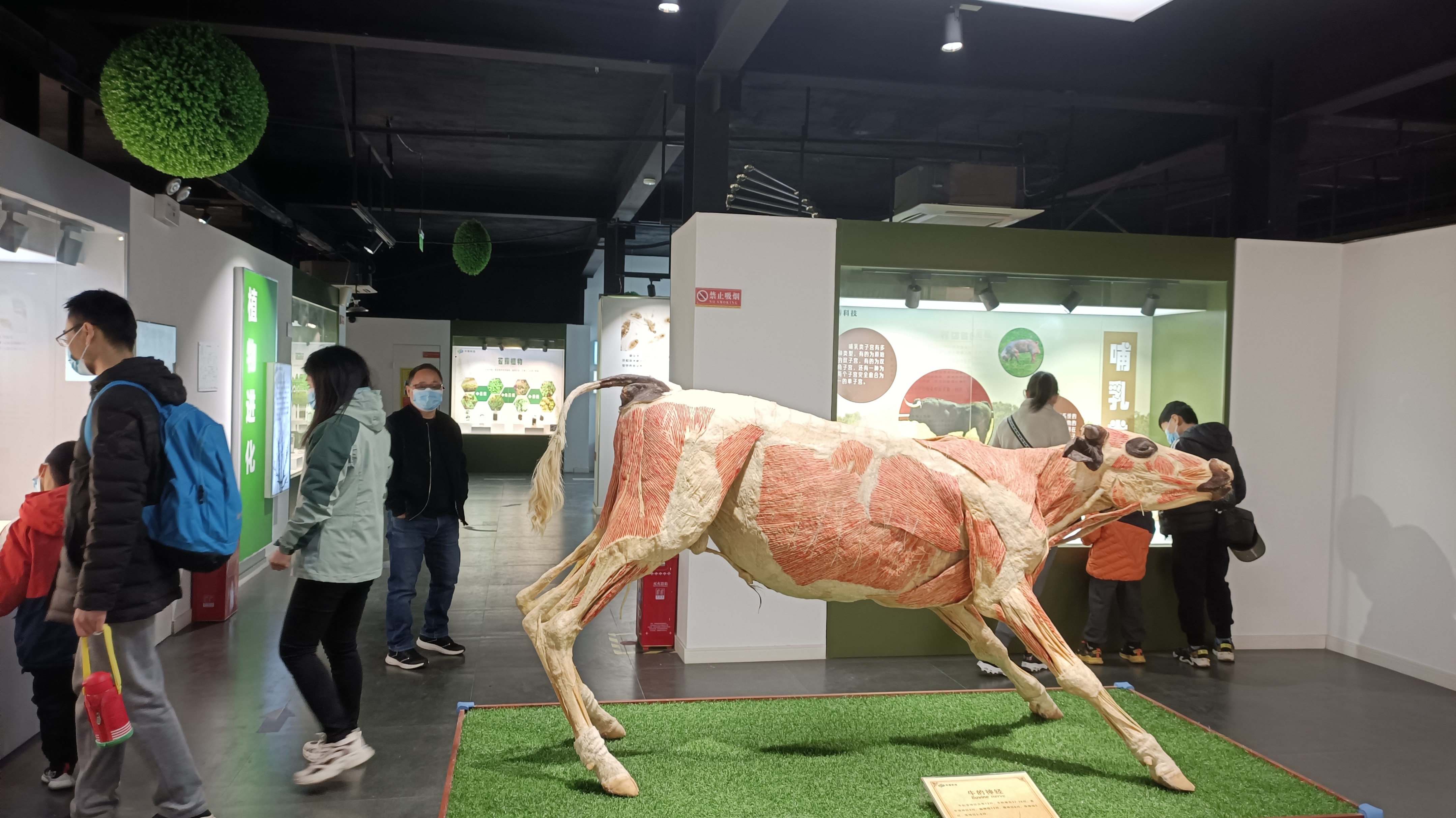 閮戝窞鍛ㄨ竟閫傚悎鏄ュぉ鍘荤殑鍦版柟,閮戝窞鏄ュぉ鏈夊摢浜涘ソ鐜╃殑鍦版柟