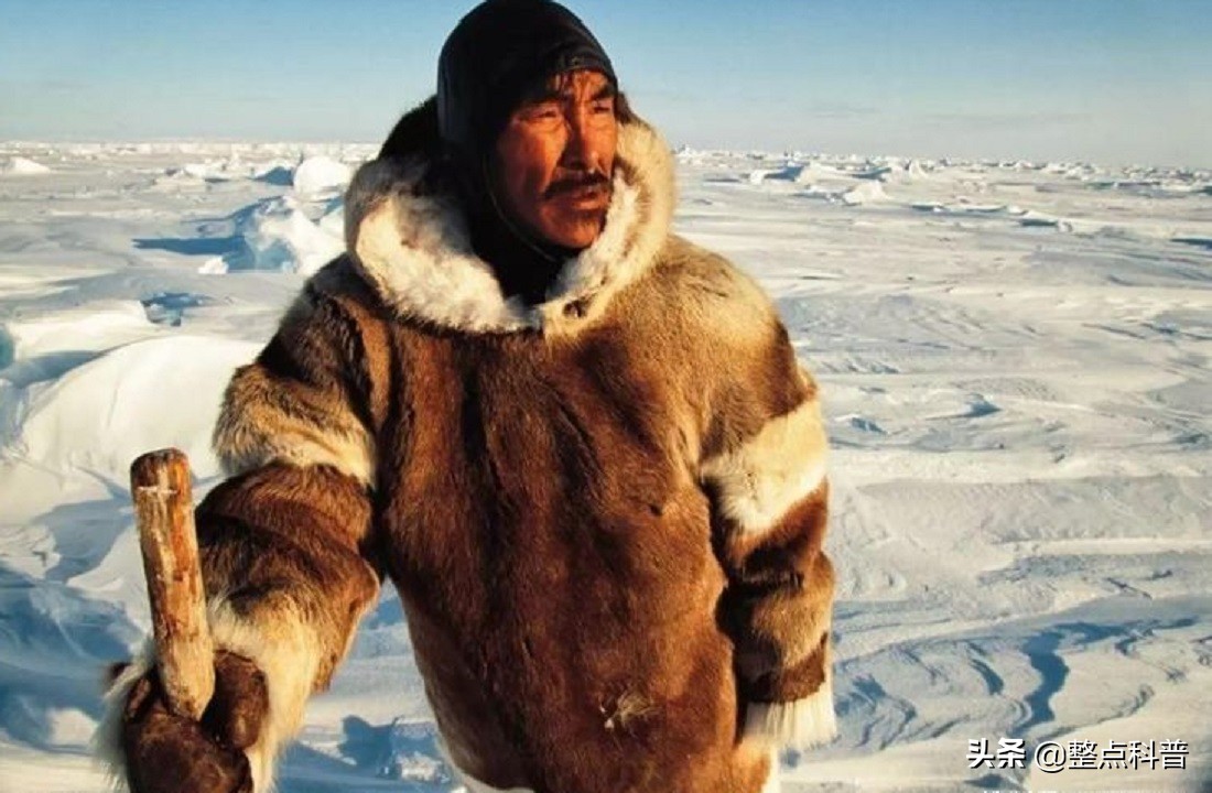 关注心血管健康科普,关注心脑血管健康