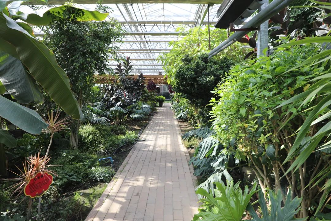 乡村振兴十二师,农旅一体化乡村振兴