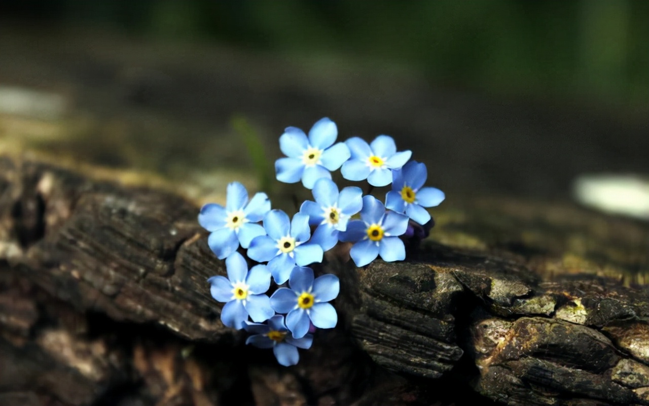 征服男人最好的四个方式,征服男人的最好方式