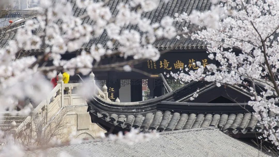 快上车app官网,快上车在哪设置