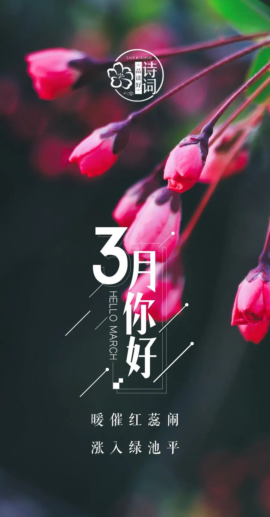 描写三月春天的诗句和优美句子,关于描写三月春暖花开的诗句