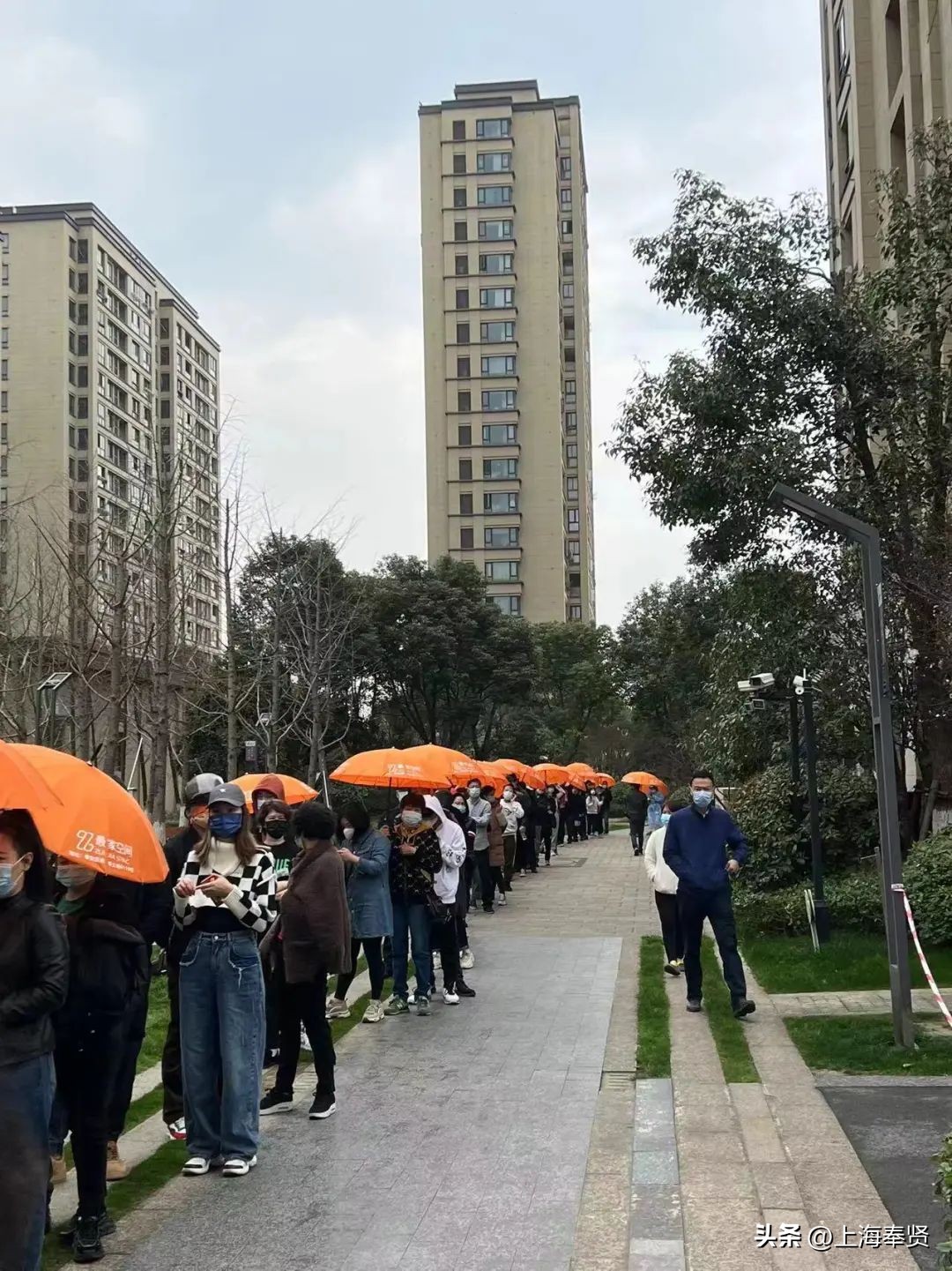 小区风景优美空气清新,小区美景春暖花开