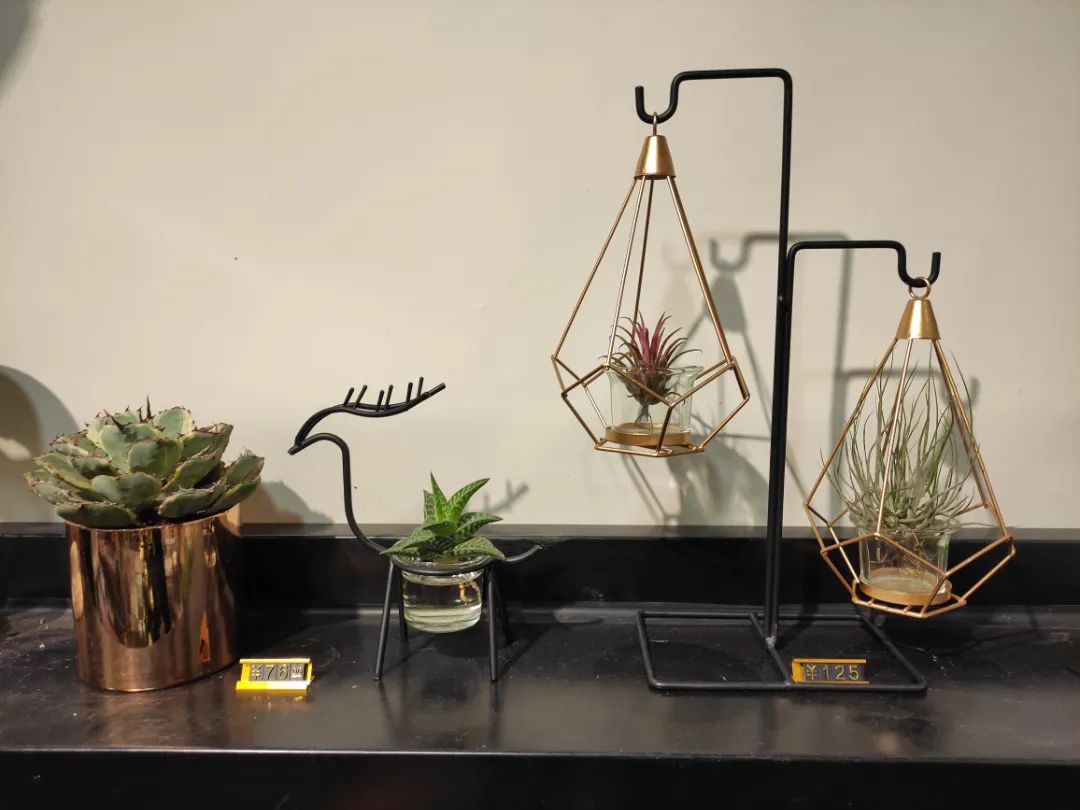 她只想回归自然，开花店却一年净利润50多万元——南宁小姐姐将理想照进了现实