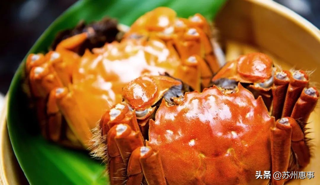 蟹鲜生阳澄湖大闸蟹吃法,阳澄湖大闸蟹正确吃法是怎样的