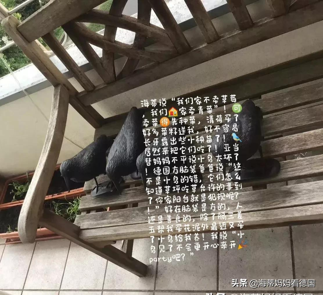 我们家的逗比点滴