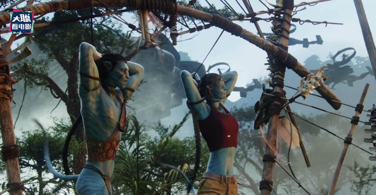 阿凡达细节讲解,阿凡达2全过程讲解