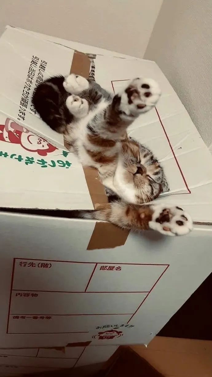 好可爱的奖助学金的名字|冷段子2516去年今日2157