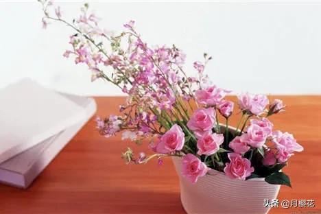 早安文案励志正能量简短文案,早安文案短句