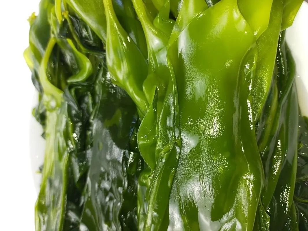 浙江人常吃的蔬菜有哪些,幼儿园常吃的蔬菜有哪些