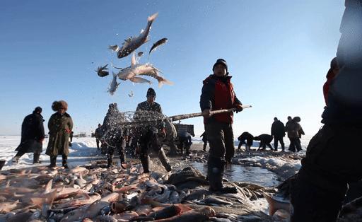 东北人都不爱吃鱼吗,南方人都很会吃鱼