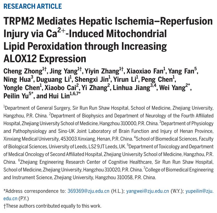 research最新研究进展,大鼠肝缺血再灌注损伤