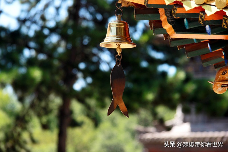 忻州一日游五台山雁门关忻州古城,五台山雁门关忻州古城三日游