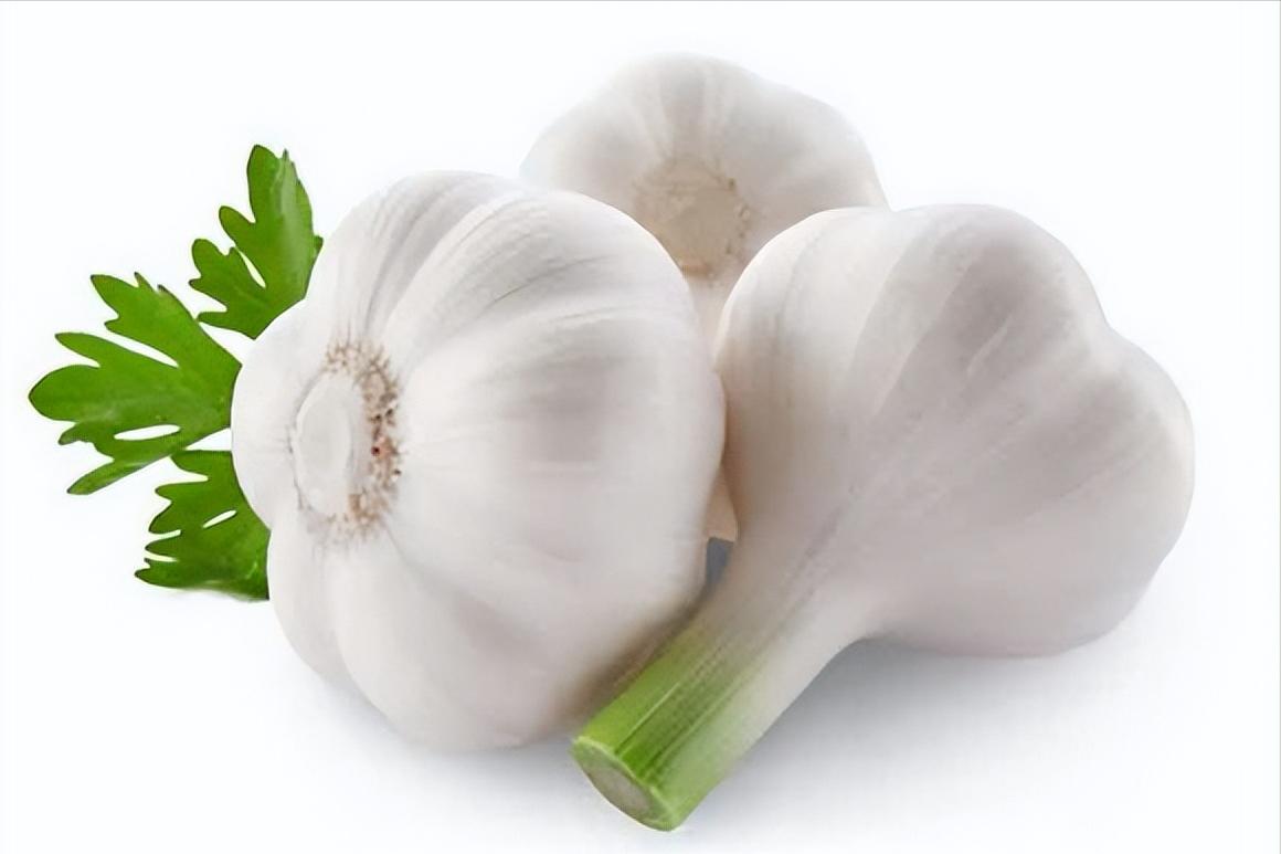 驱蚊小妙招家里蚊子多,家里蚊子多驱蚊最有效的方法