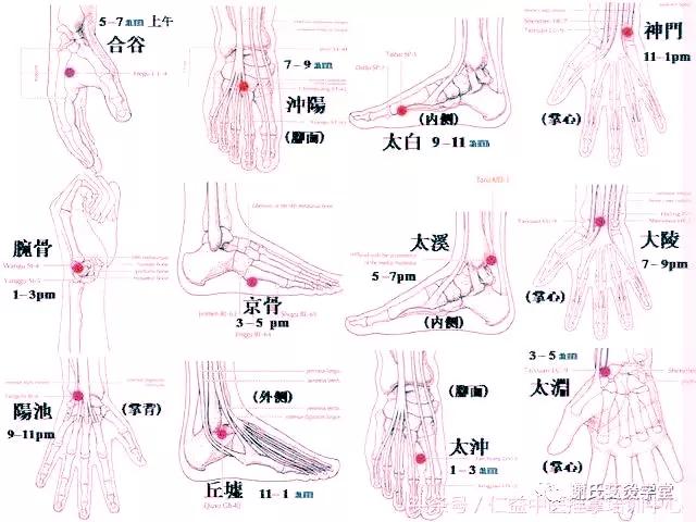 原穴与络穴配合,原穴与络穴合用的作用