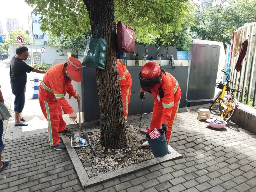 洗污渍、清死角、洗积尘……九堡颜值又刷新
