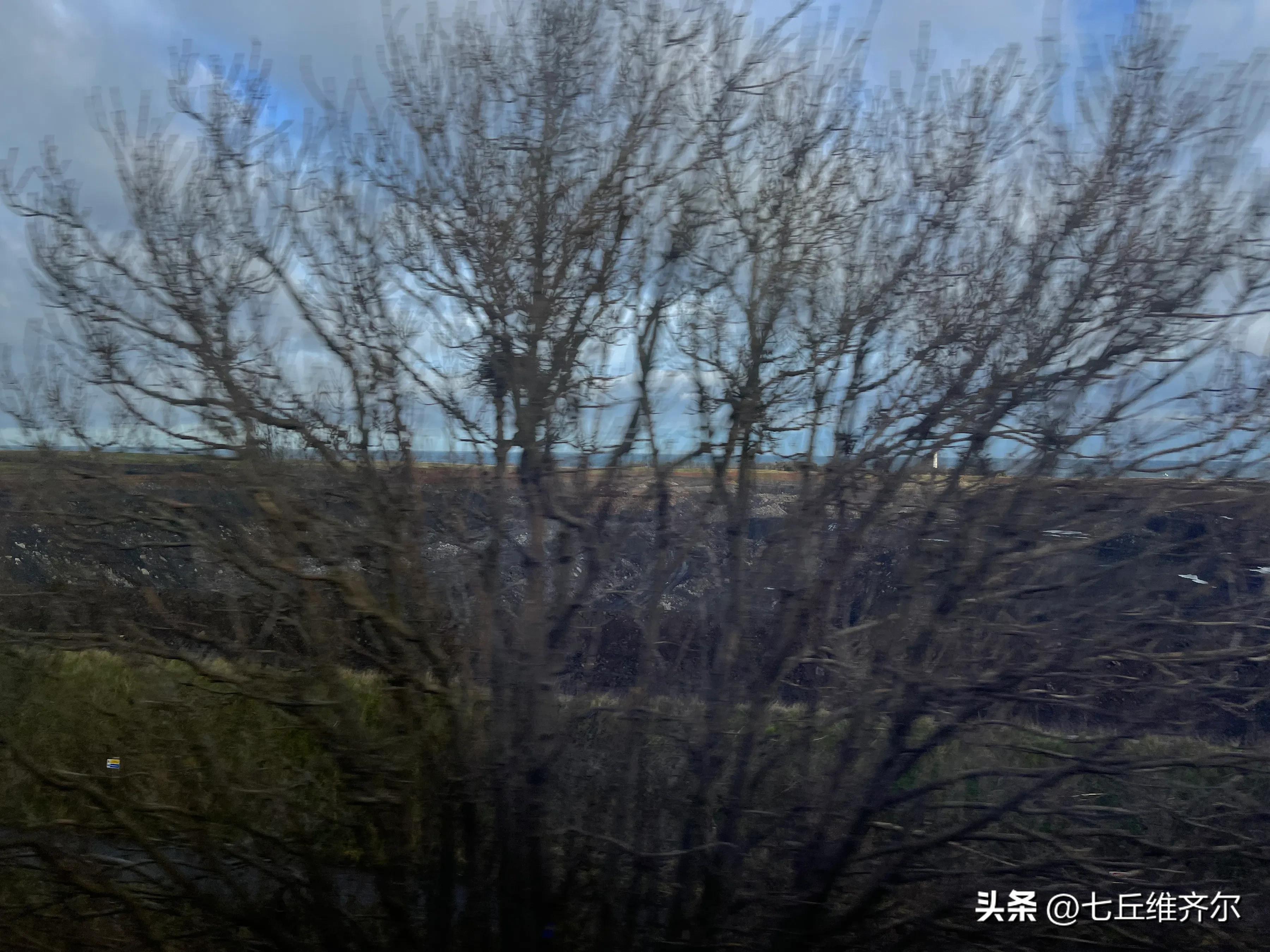 水肥草美牛羊壮上联,牛羊满圈的上联下联