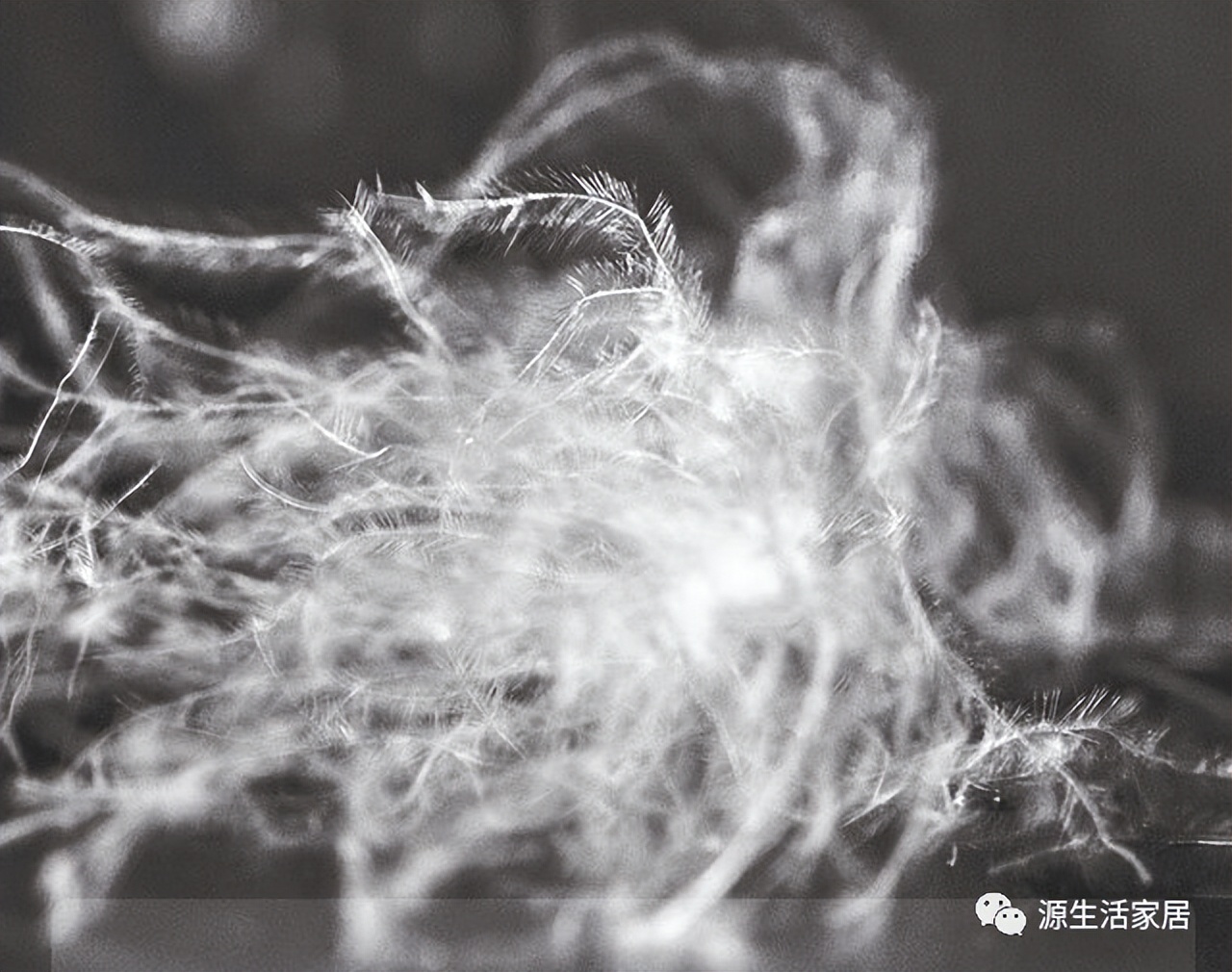 康尔馨羽绒枕哪款好,康尔馨300多的羽绒枕