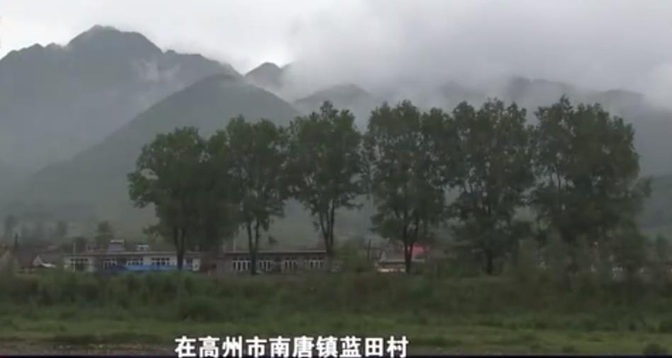 16年深圳发生怪事，一女子缴纳社保时被告知：你已经死了1个月了