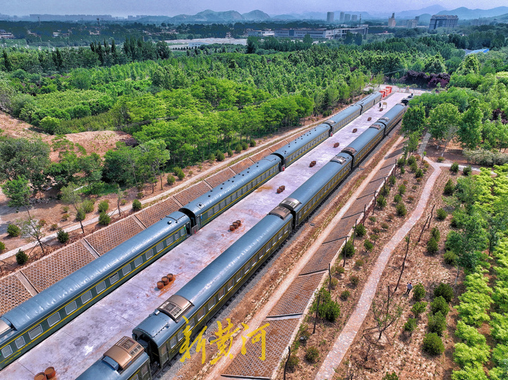 济南网红打卡地樱花大道火车,济南24小时打卡网红圣地