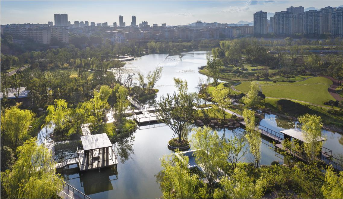 荣获奖项的喜报,棕榈奖名单曝光