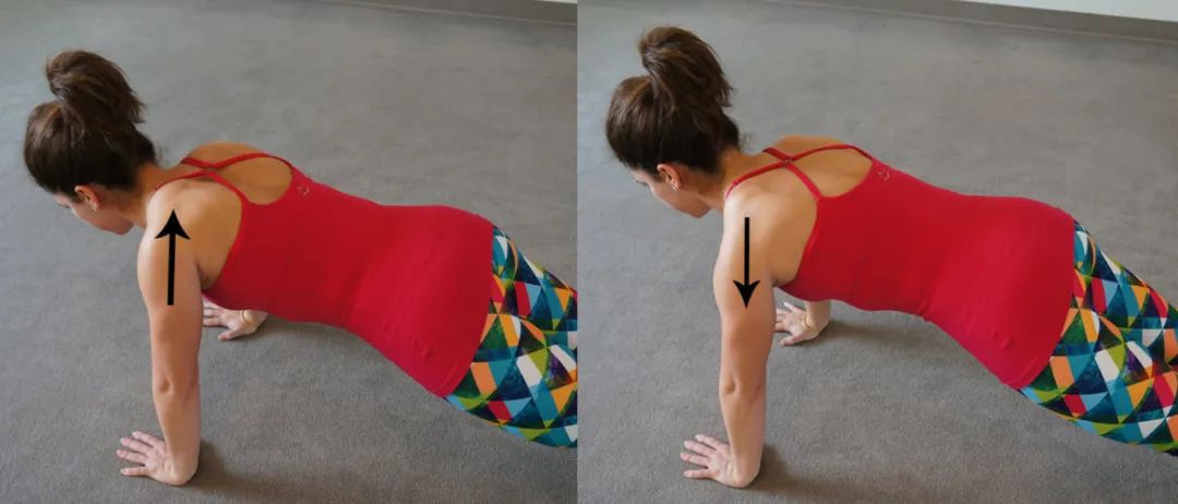 最该看的肩部肌肉图解,颈肩部肌肉解剖