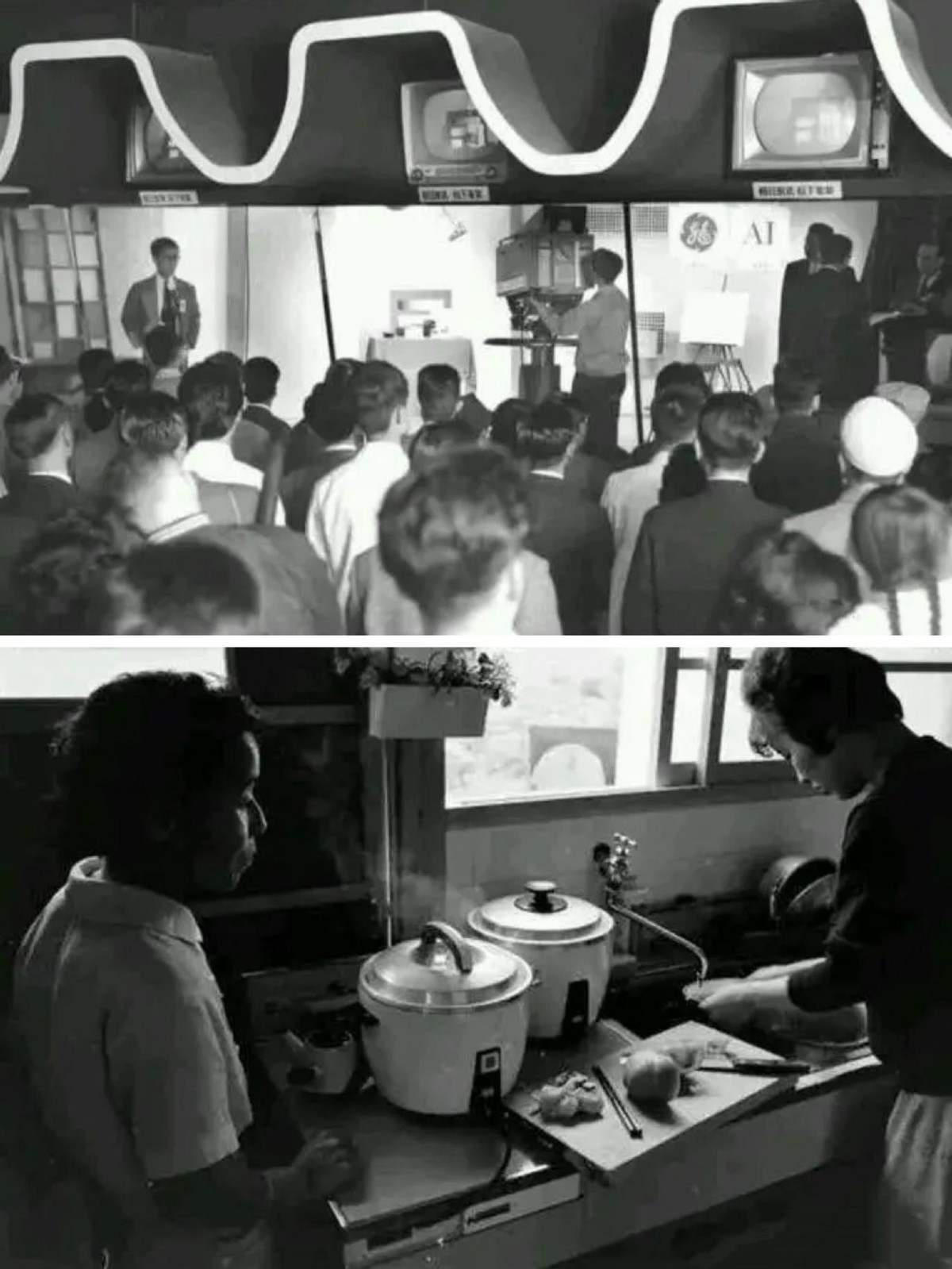 15骞村熀寤烘姇璧勪簡澶氬皯,楦熷发15骞翠簭浜嗗悧