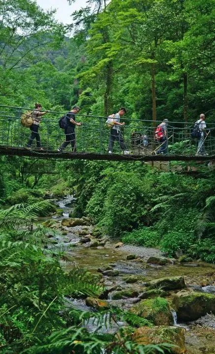 2020五一峨眉山开放的景点,五一峨眉山旅游攻略