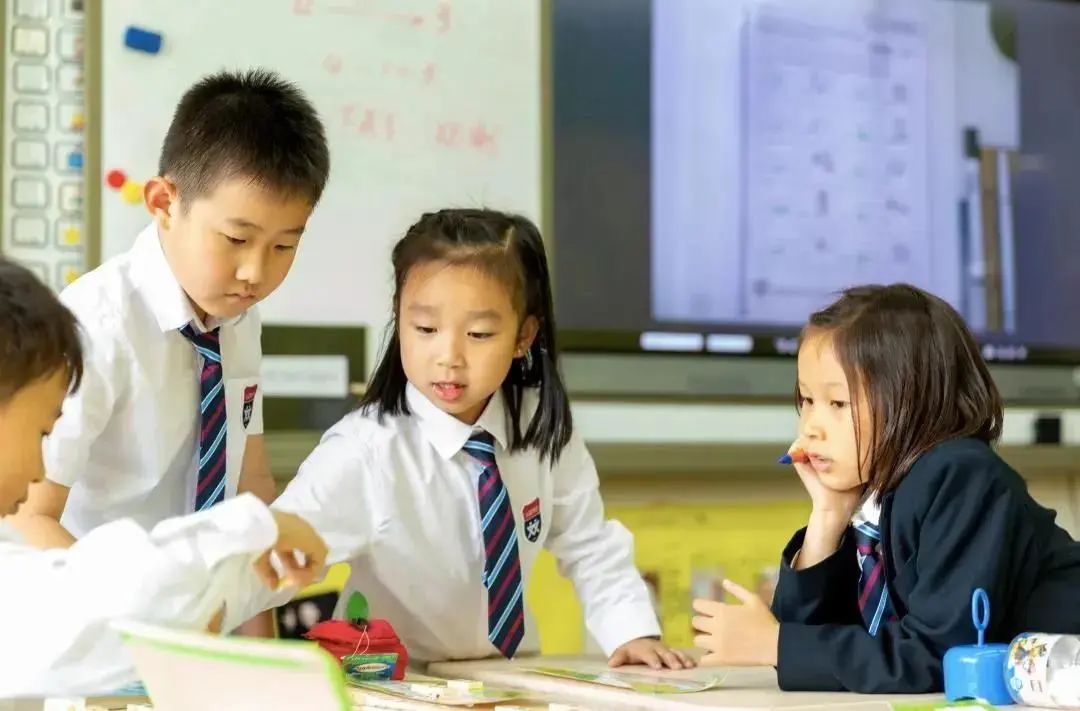 火遍上海的冰激淋,火遍上海的视频