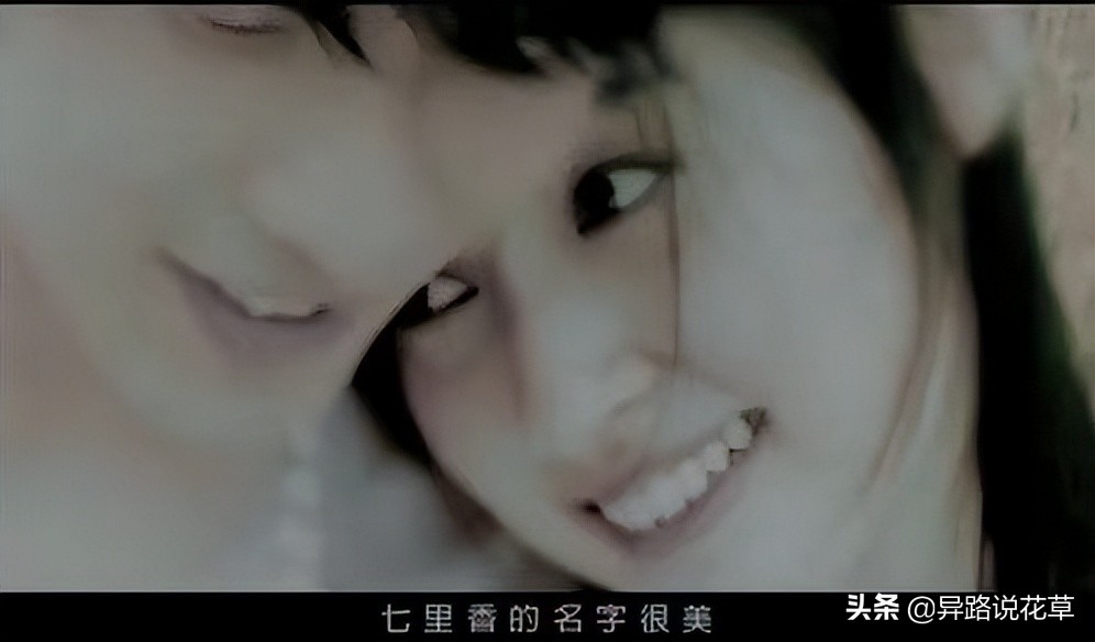 七里香：七里香歌好听，名字也很美，花语动人，花朵更“惊艳”