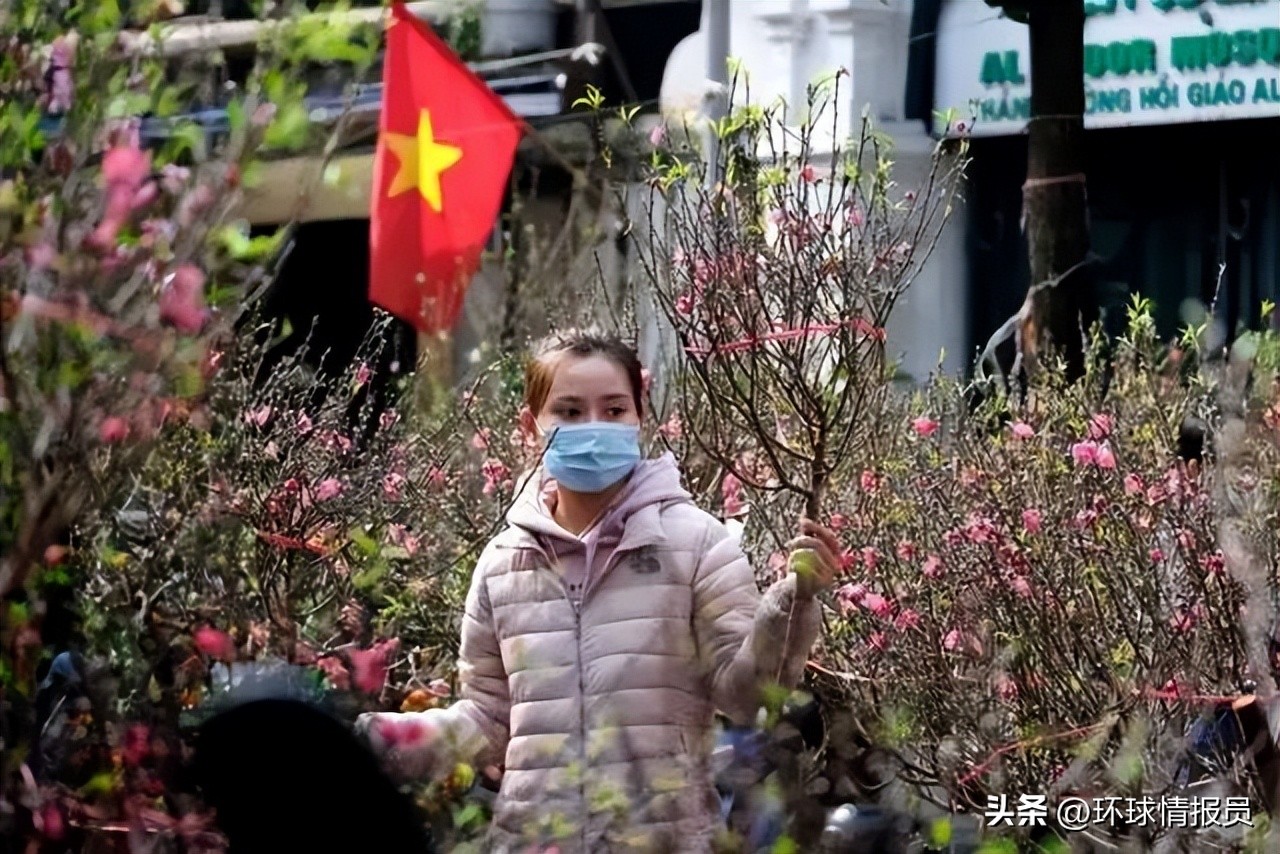 猫也能混进十二生肖？越南为什么不过兔年，而是过猫年？