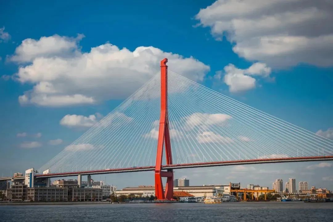 上海周末骑行好去处,上海周边适合春天骑行的地方排名