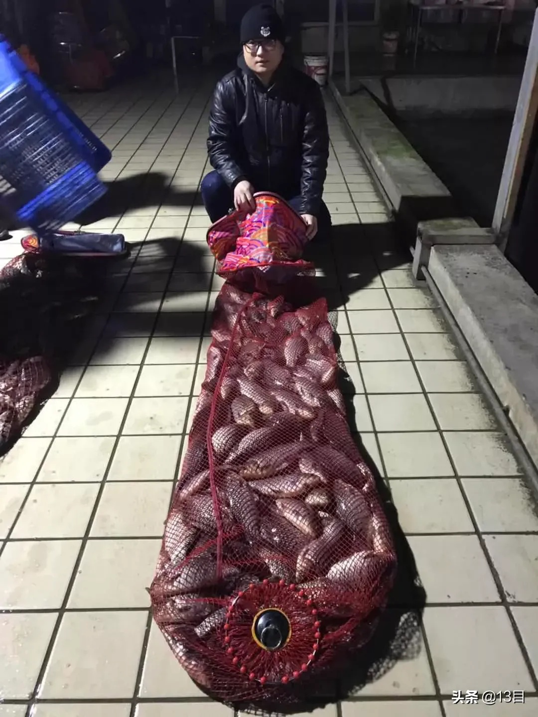 北京钓鱼练竿坑,北京钓鱼高坑好去处