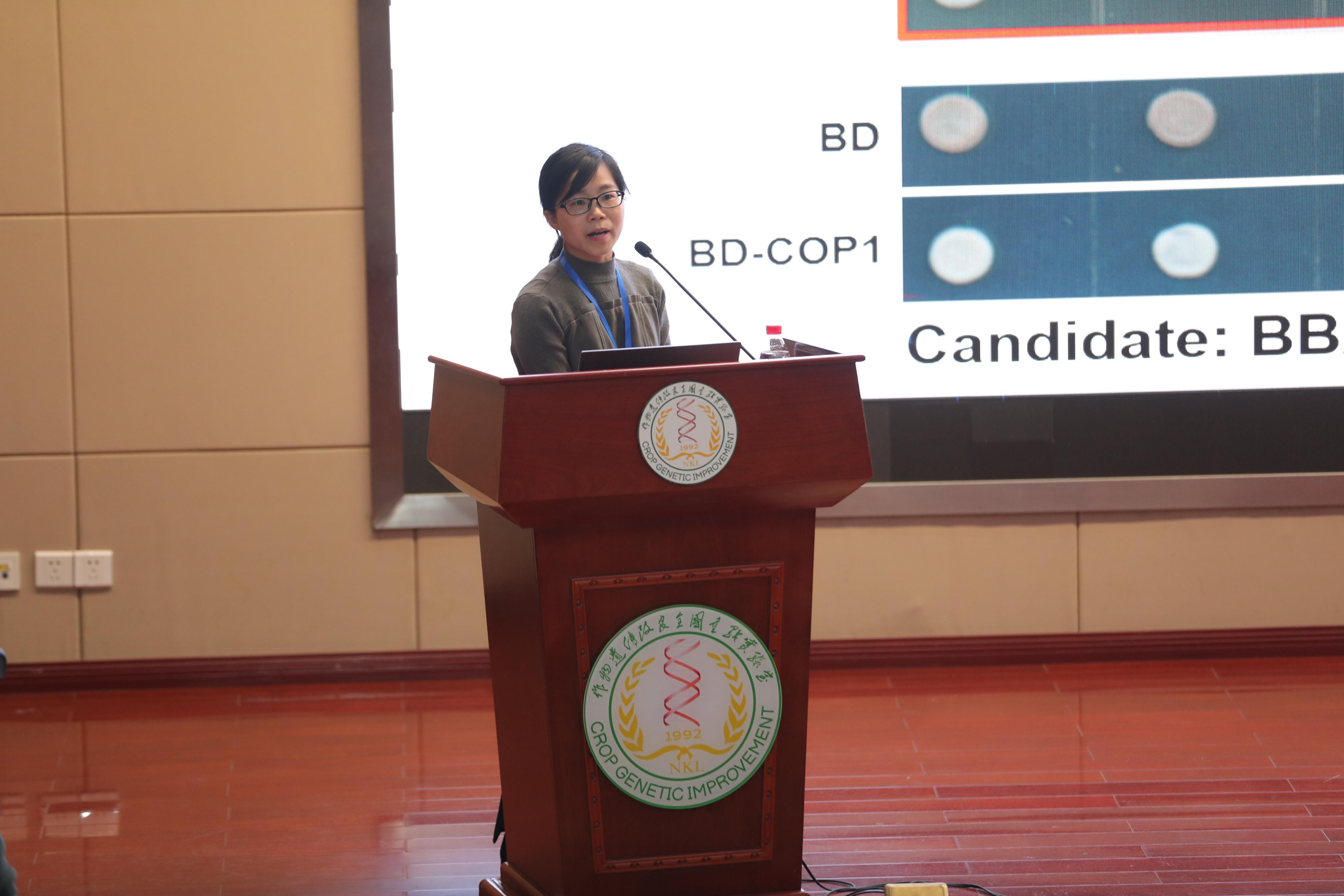 探索植物奥秘的“女斗士”——记兰州大学优秀*产党共**员、生命科学学院林芳教授