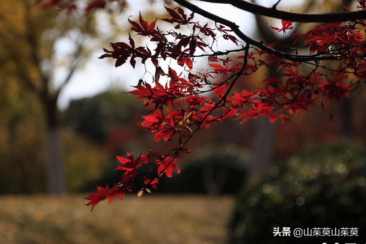 芜湖旅游攻略教堂,芜湖鸠兹风景区