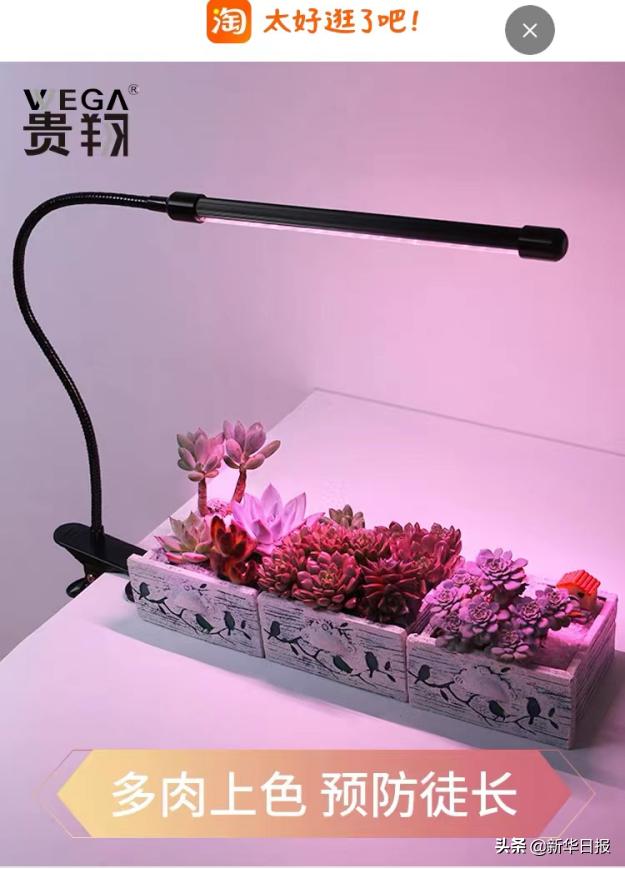 疫情隔离囤货攻略,疫情隔离囤货