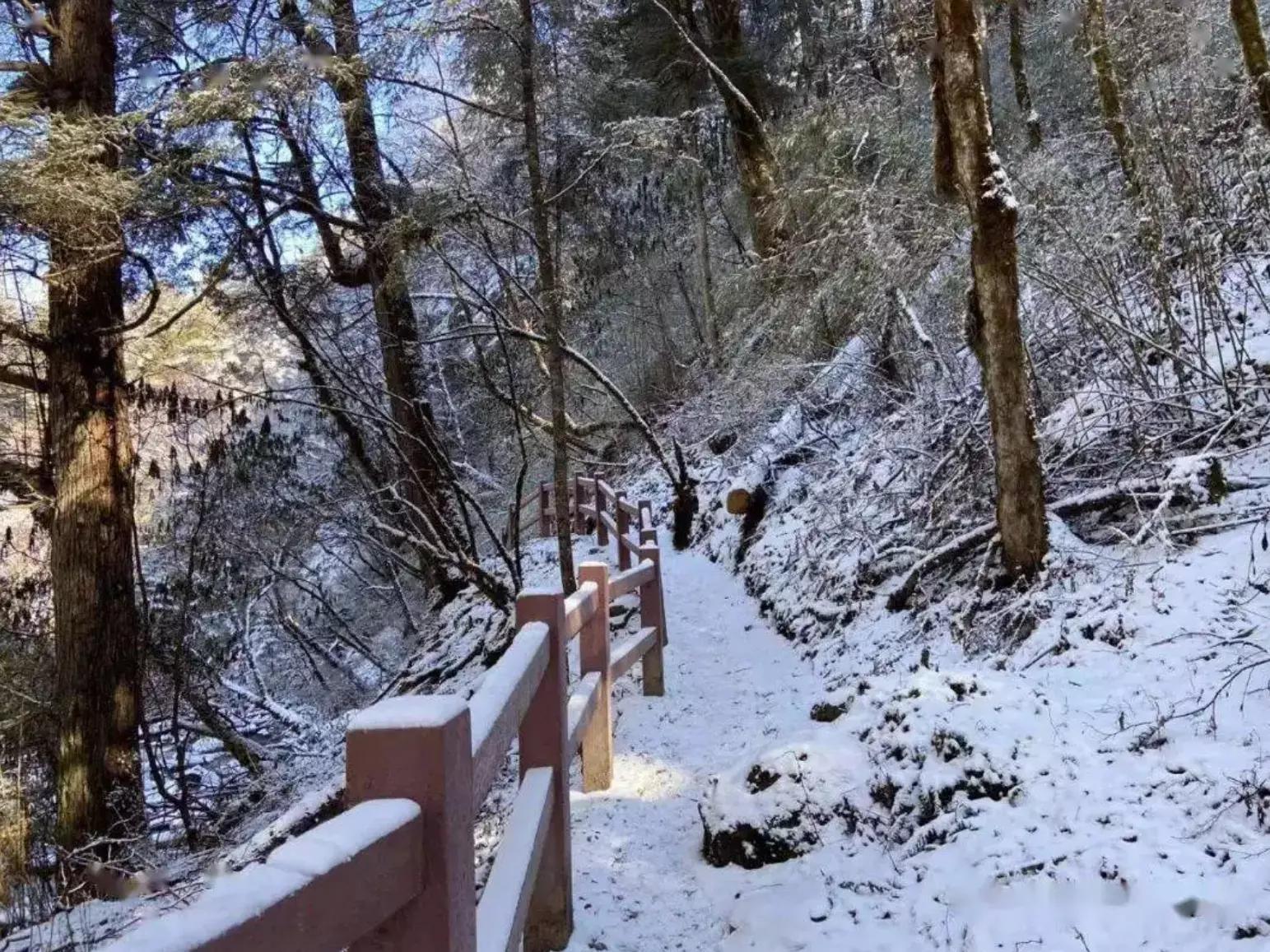 成都周边适合徒步的地方,成都徒步旅游免费景点