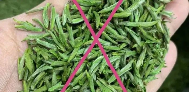 为什么买的茶叶那么绿,买茶注意什么事项