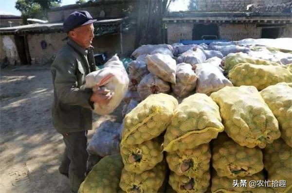 数百吨压仓卖不动,低至4毛5一斤,商家还在压价,农户亏大了