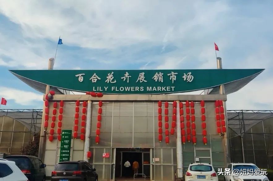 济南市市中区花鸟鱼虫市场在哪里,济南凤凰山花鸟鱼虫市场