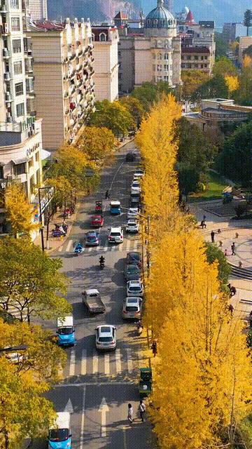 中国唯一用欧元买菜的江南小城,这座城市遍地都是豪车