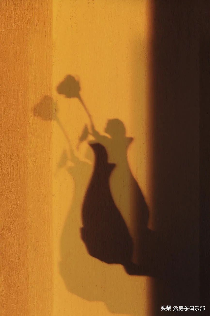 给租房人的一封信,给所有房东的一封信