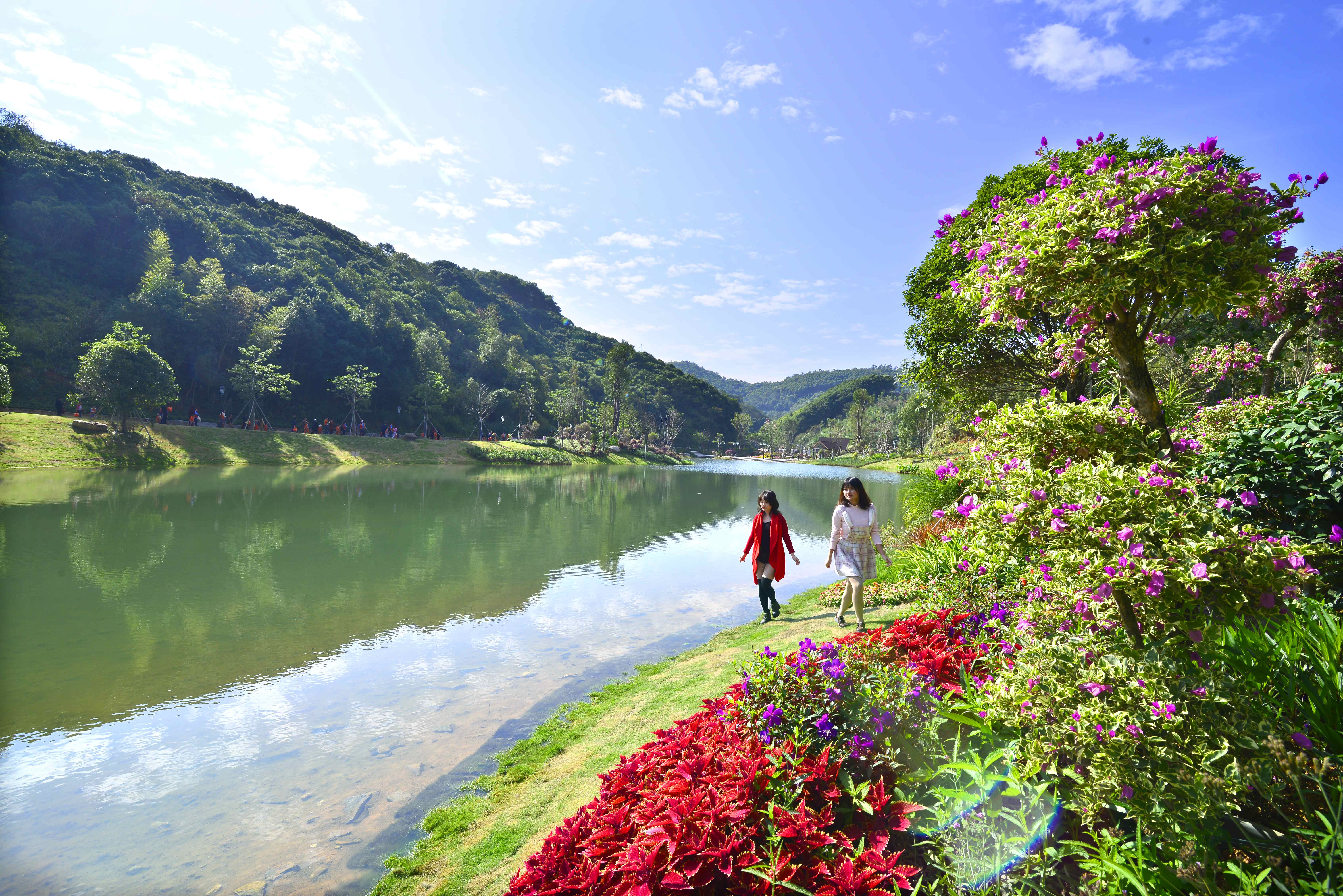 高举发展大旗汲取奋进之力,高举创新和产业发展大旗