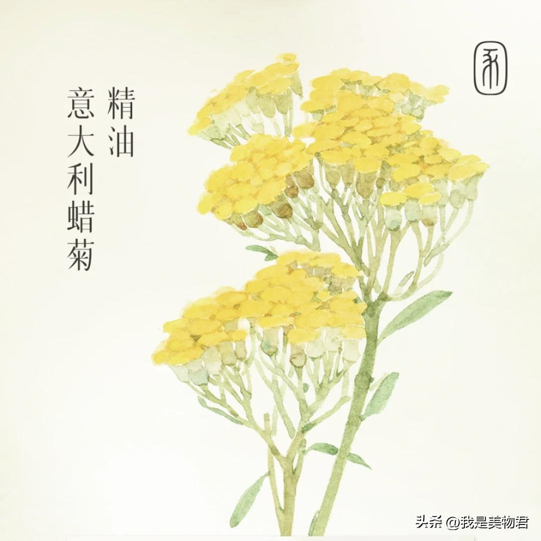 夏天敷补水保湿面膜,敷个面膜补补水分