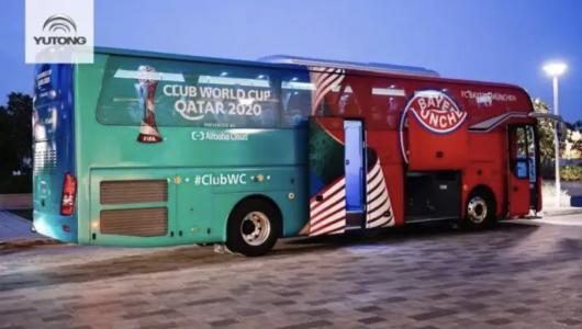 世界杯来了意大利,世界杯来了动画