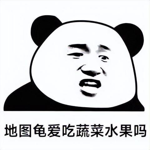 地图龟能吃多少水果,地图龟能吃水果吗