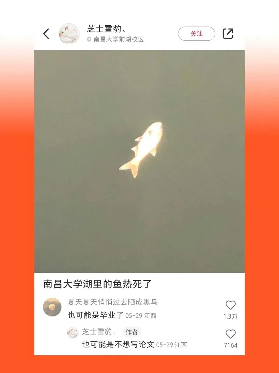 夏天热疯了搞笑图片,炎热的搞笑图片图文