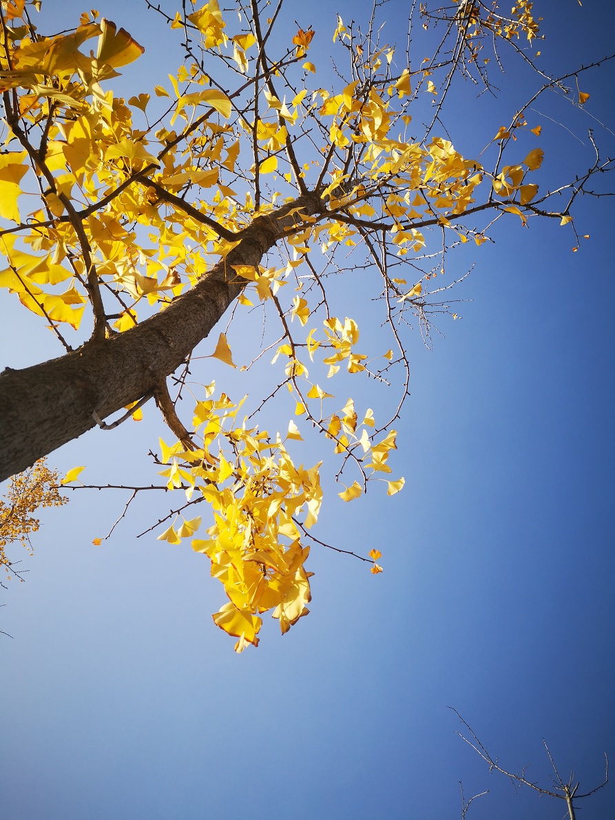 孔明的著作大全,孔明的散文